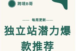 【跨境B哥】独立站潜力爆款选品推荐，测款出单率高达百分之80（每周更新）