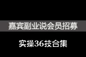 嘉宾副业说实操36技合集，价值1380元