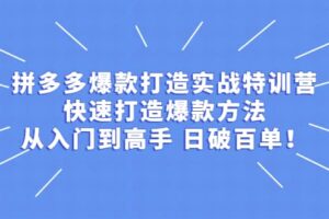 拼多多爆款打造实战特训营：快速打造爆款方法，从入门到高手 日破百单