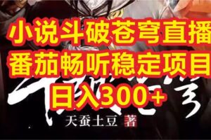 小说斗破苍穹直播，番茄畅听日入300 稳定项目
