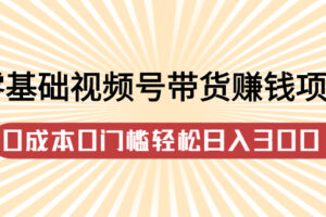 零基础视频号带货赚钱项目，0成本0门槛轻松日入300 【视频教程】