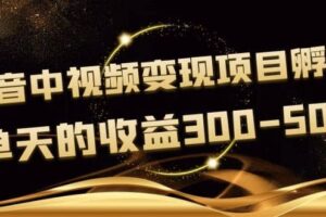 黄岛主《抖音中视频变现项目孵化》单天的收益300-500 操作简单粗暴