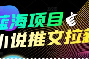 【高端精品】外面收费6880的小说推文拉新项目，个人工作室可批量做