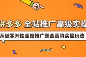 拼多多全站推广高级实操：从破零开始全站推广整套高阶实操玩法