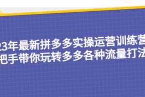 23年最新拼多多实操运营训练营：手把手带你玩转多多各种流量打法！