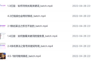 霍去病的抖音seo课，抖音SEO优化大热，红利期蕴藏无上限财富