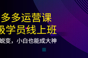 拼多多运营课：超级学员线上班，21天蜕变，小白也能成大神